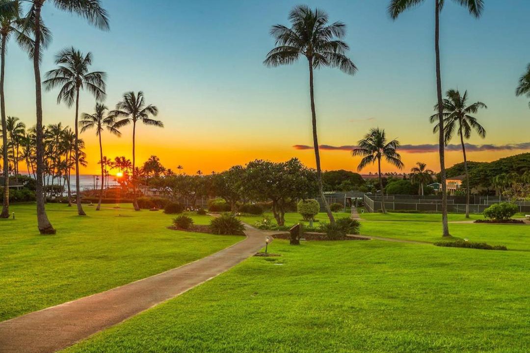 Photo of Others in Poipu