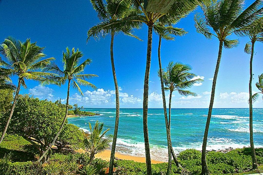 Photo of Others in Wailua House Lots