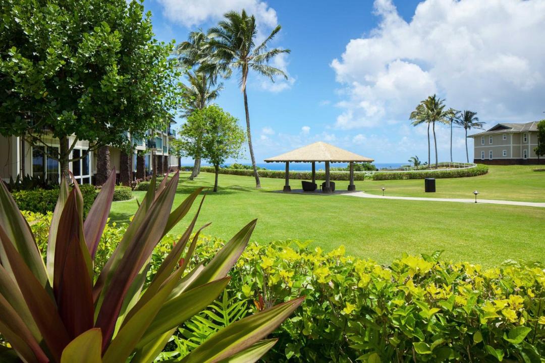 Photo of Others in Princeville
