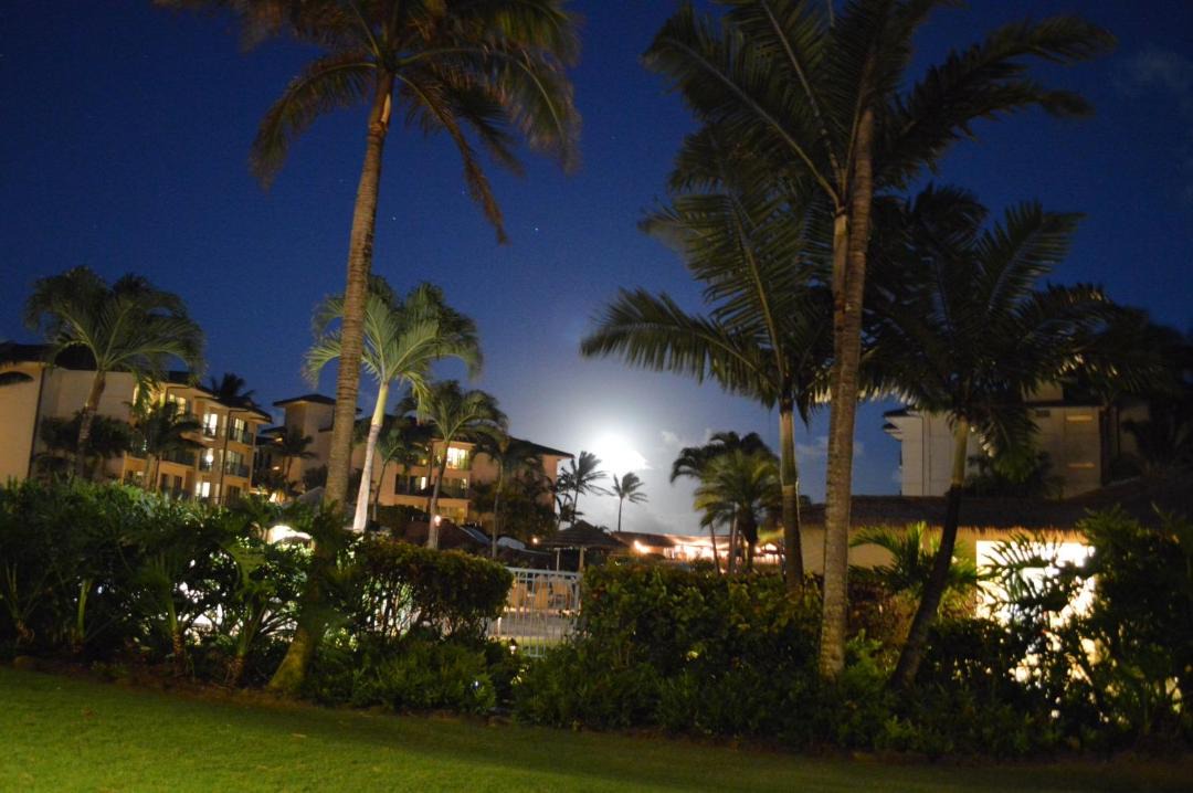 Photo of Others in Wailua