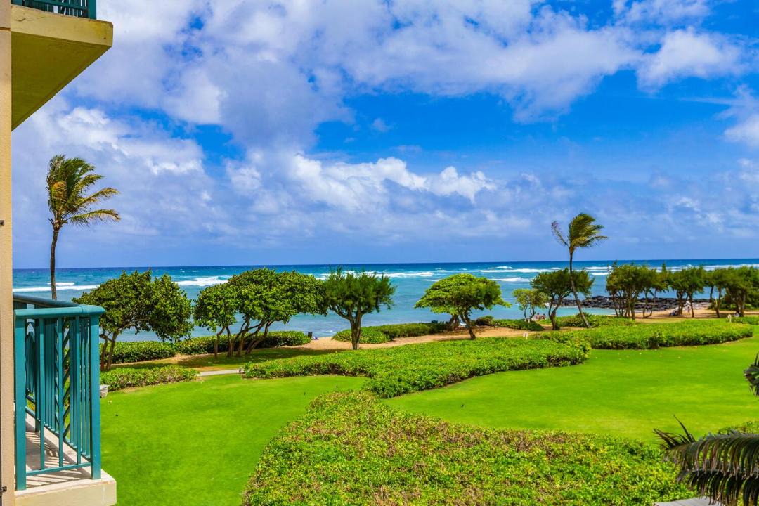 Photo of Others in Wailua