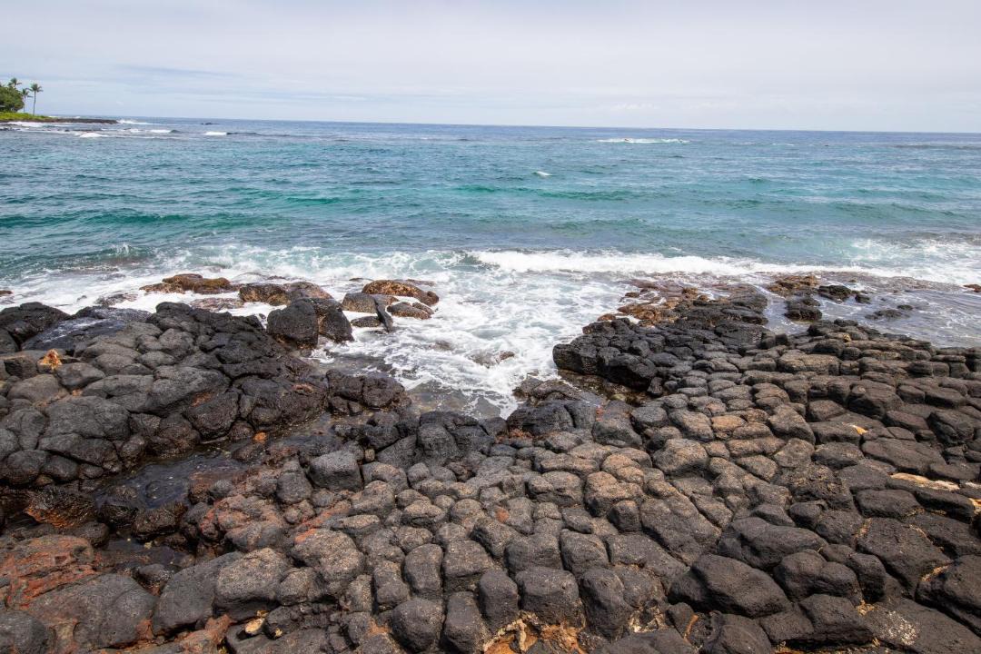 Photo of Others in Poipu