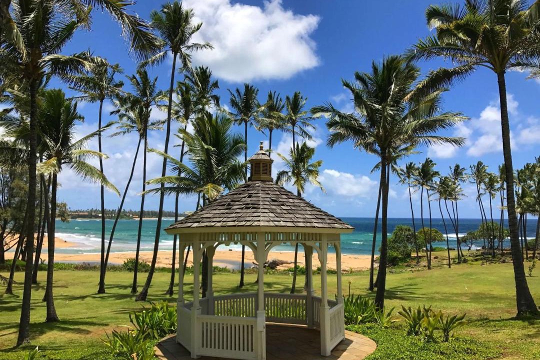 Photo of Others in Lihue
