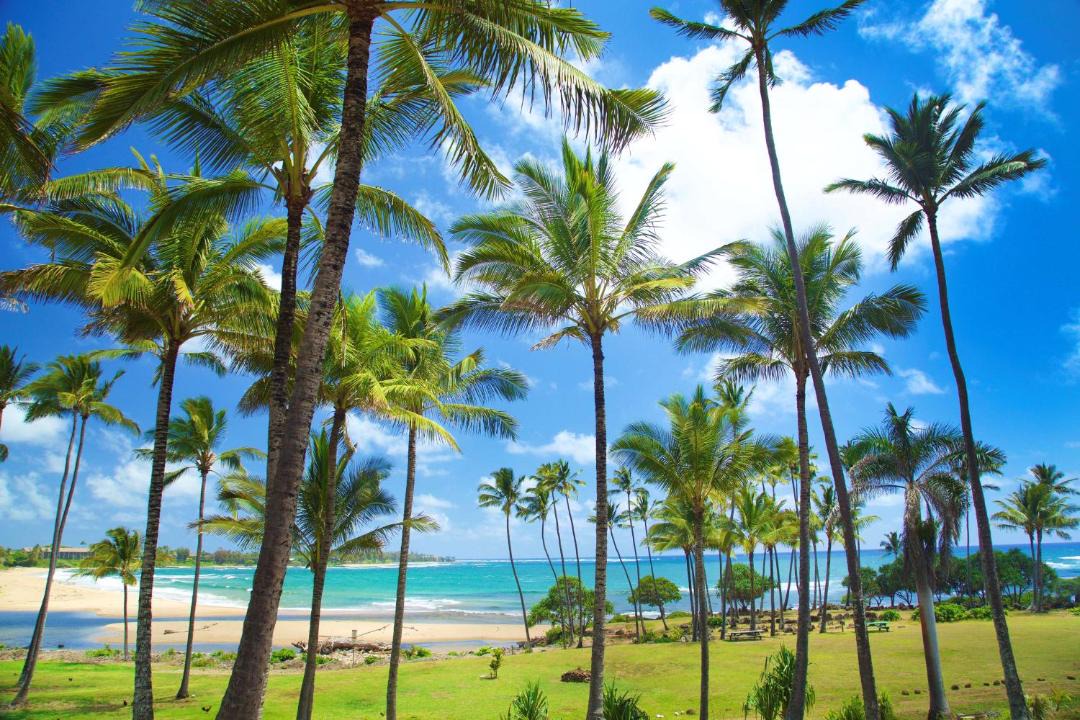 Photo of Others in Lihue