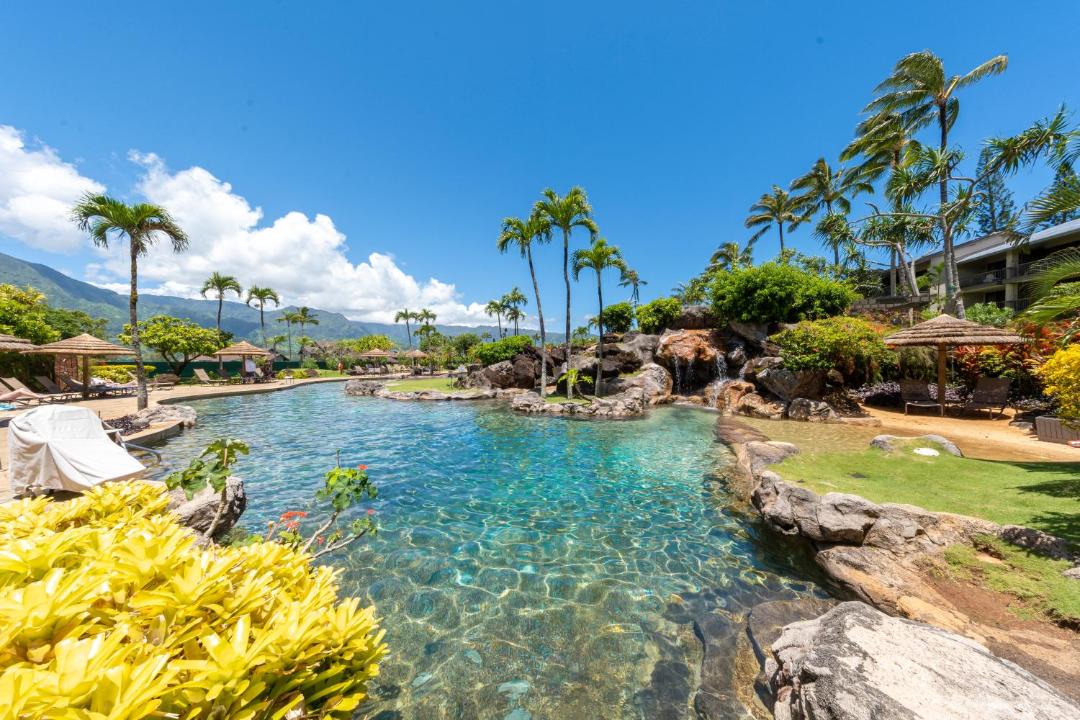 Photo of Outdoor in Princeville
