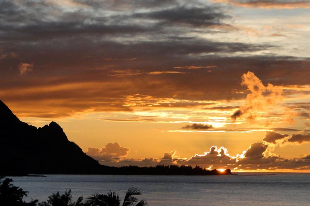 Photo of Others in Princeville
