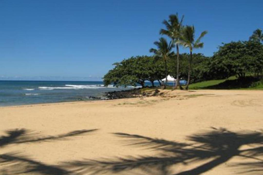 Photo of Others in Princeville