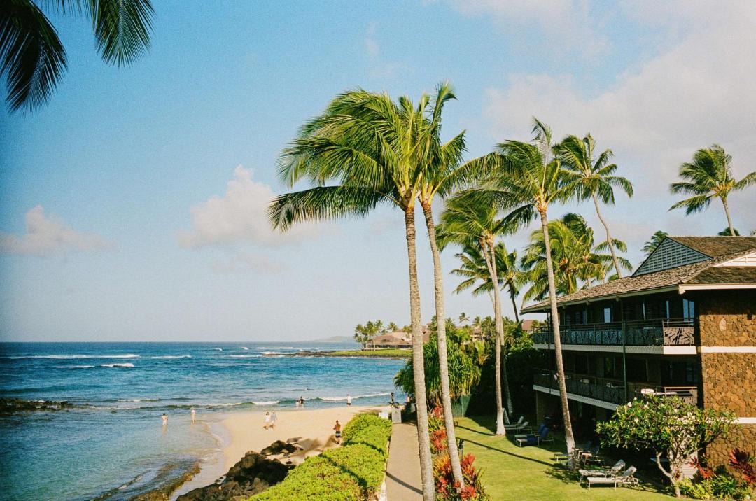 Photo of Others in Poipu