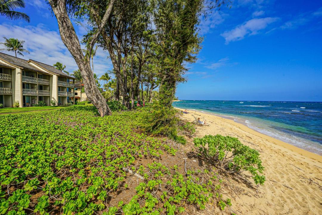 Photo of Outdoor in Wailua