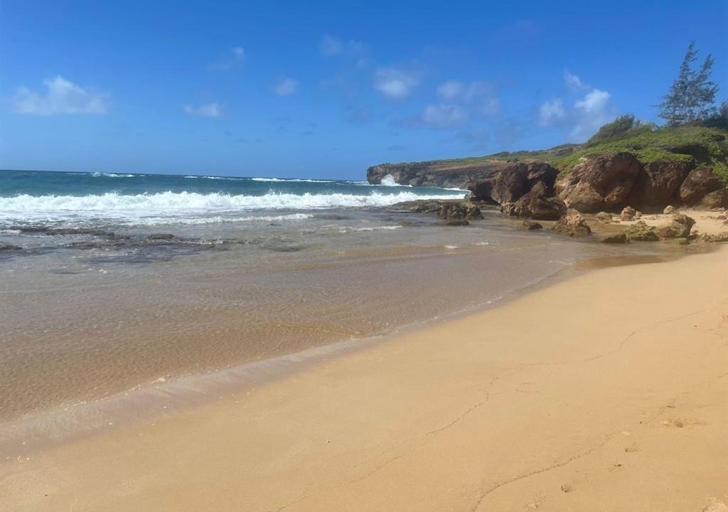 Photo of Outdoor in Poipu