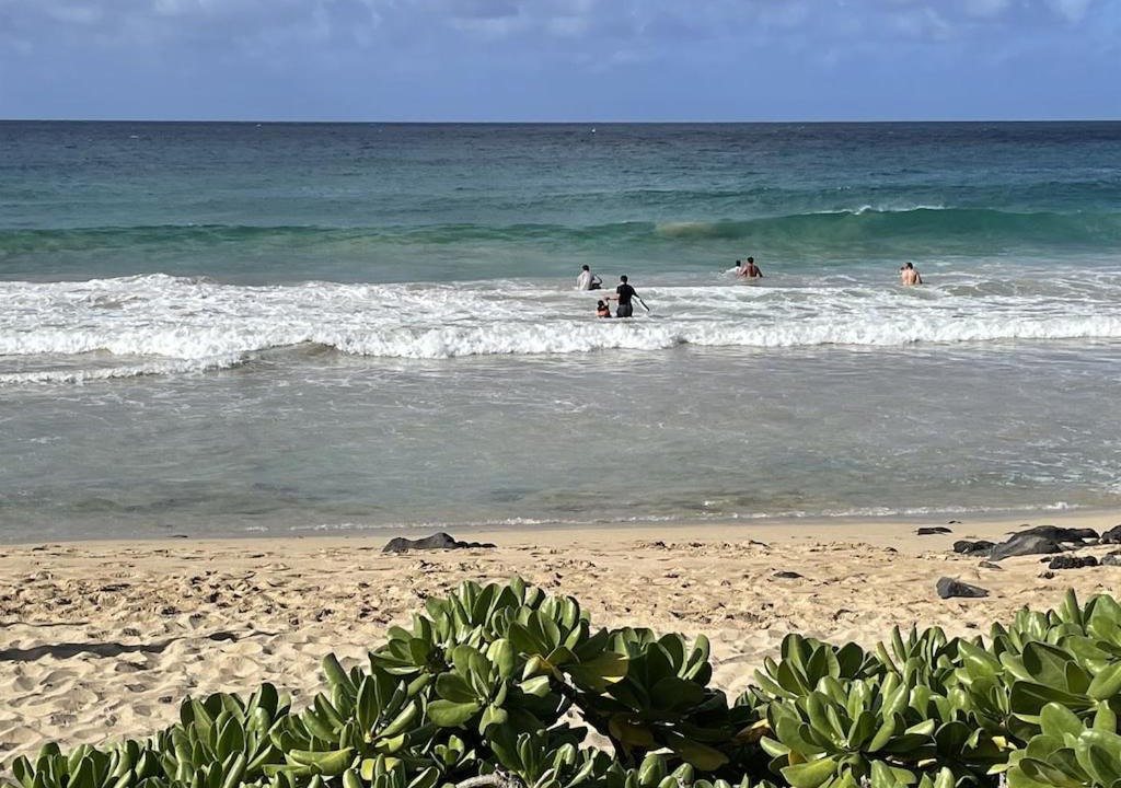Photo of Outdoor in Poipu