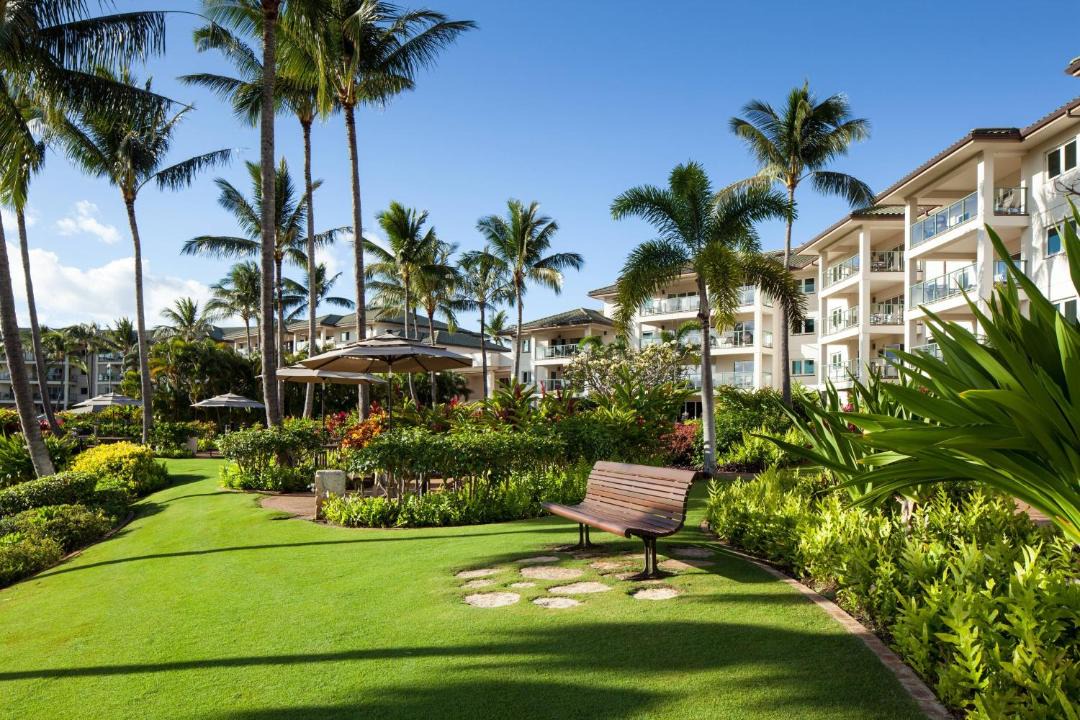 Photo of Others in Lihue