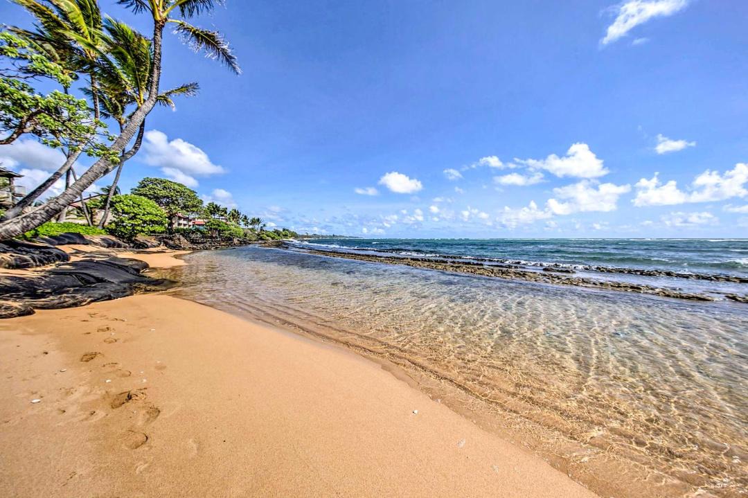 Photo of Others in Wailua