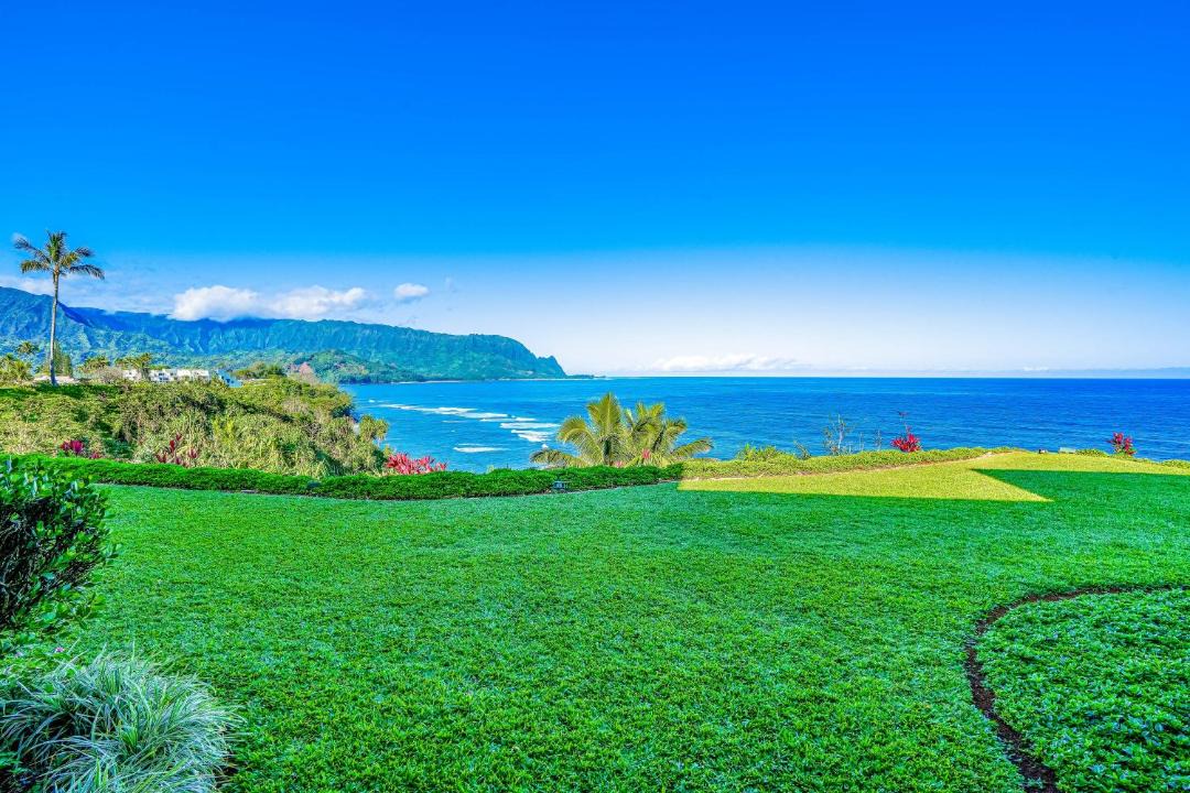 Photo of Others in Princeville