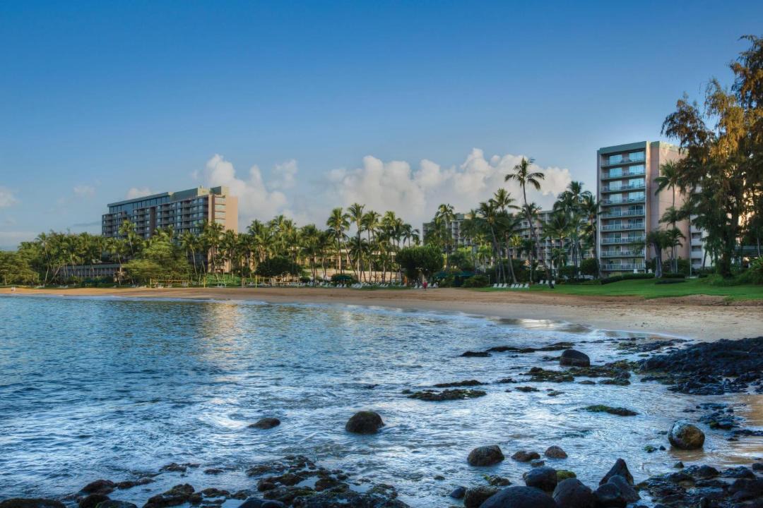 Photo of Others in Lihue