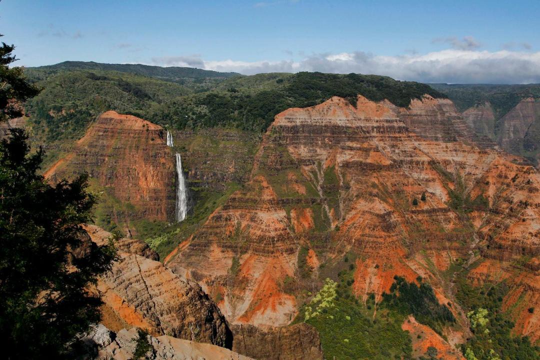 Photo of Others in Poipu