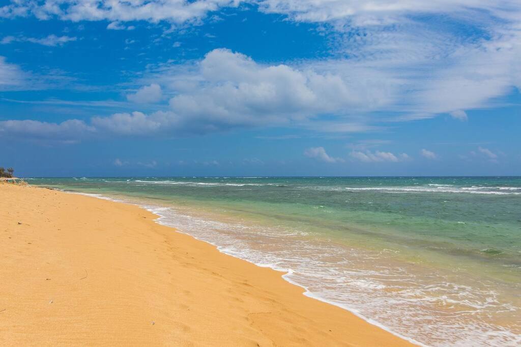 Photo of Others in Wailua
