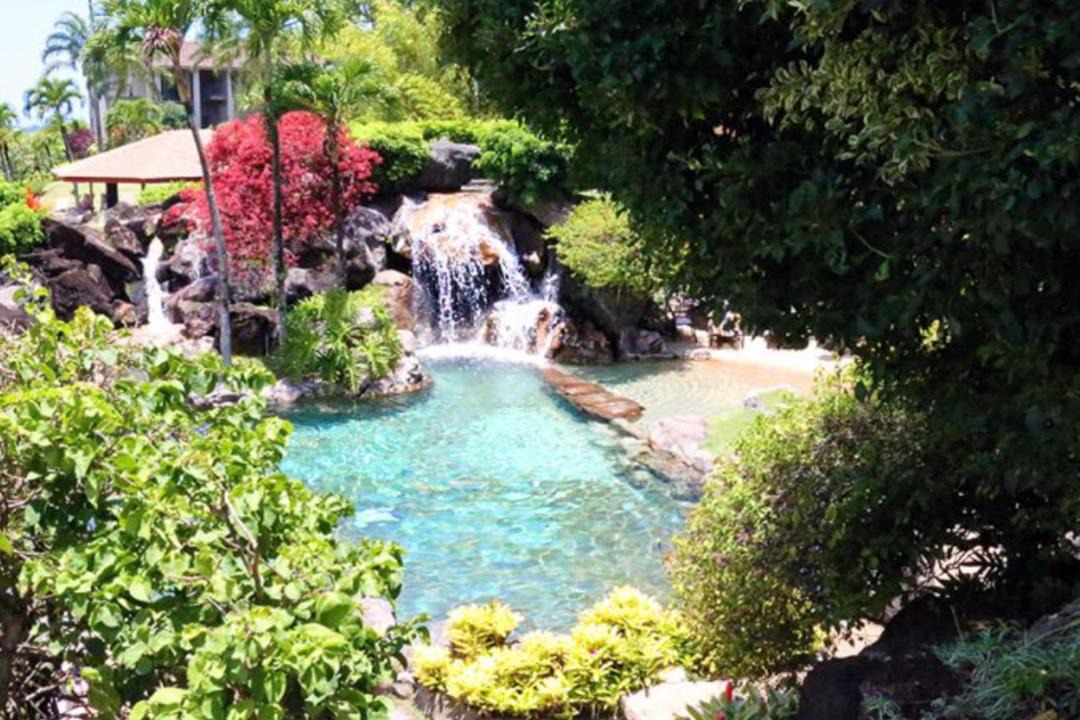 Photo of Others in Princeville