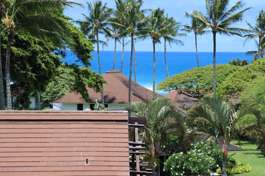 Photo of Others in Poipu