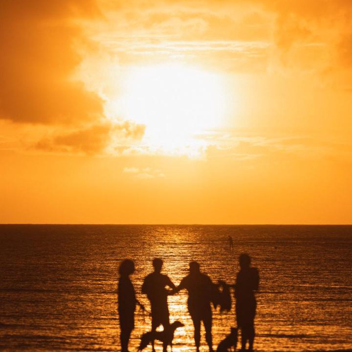Photo of Others in Princeville