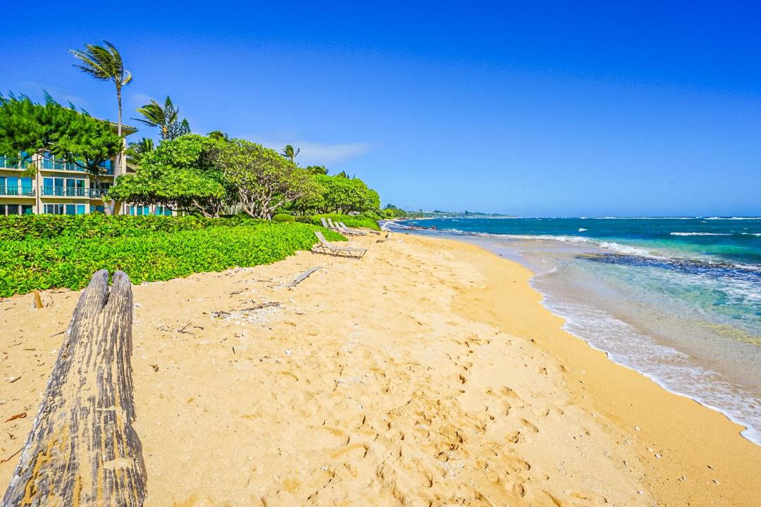 Photo of Others in Wailua