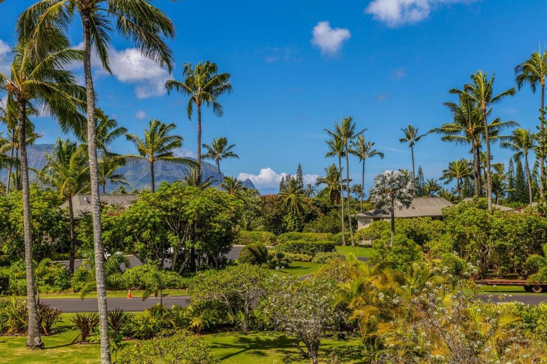 Photo of Others in Princeville