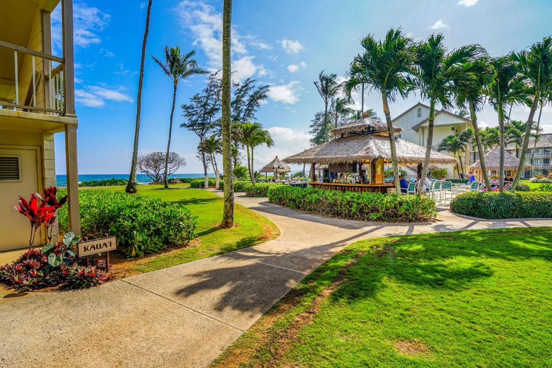 Photo of Buildings in Wailua