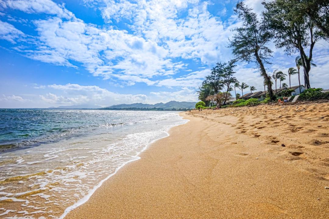 Photo of Others in Wailua