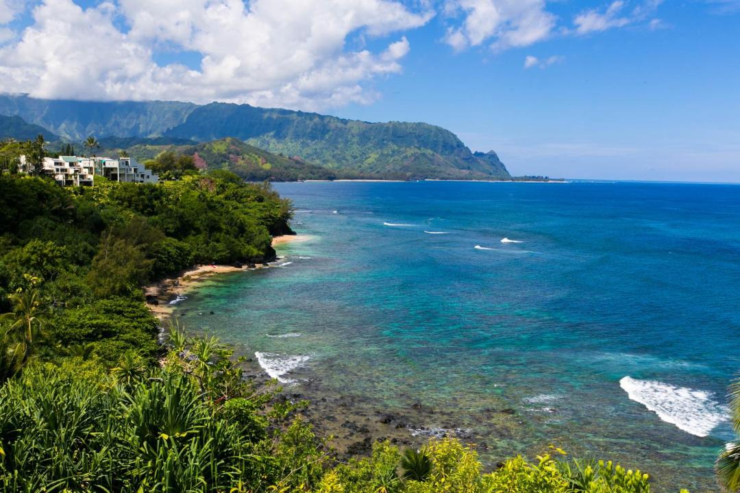 Photo of Others in Princeville