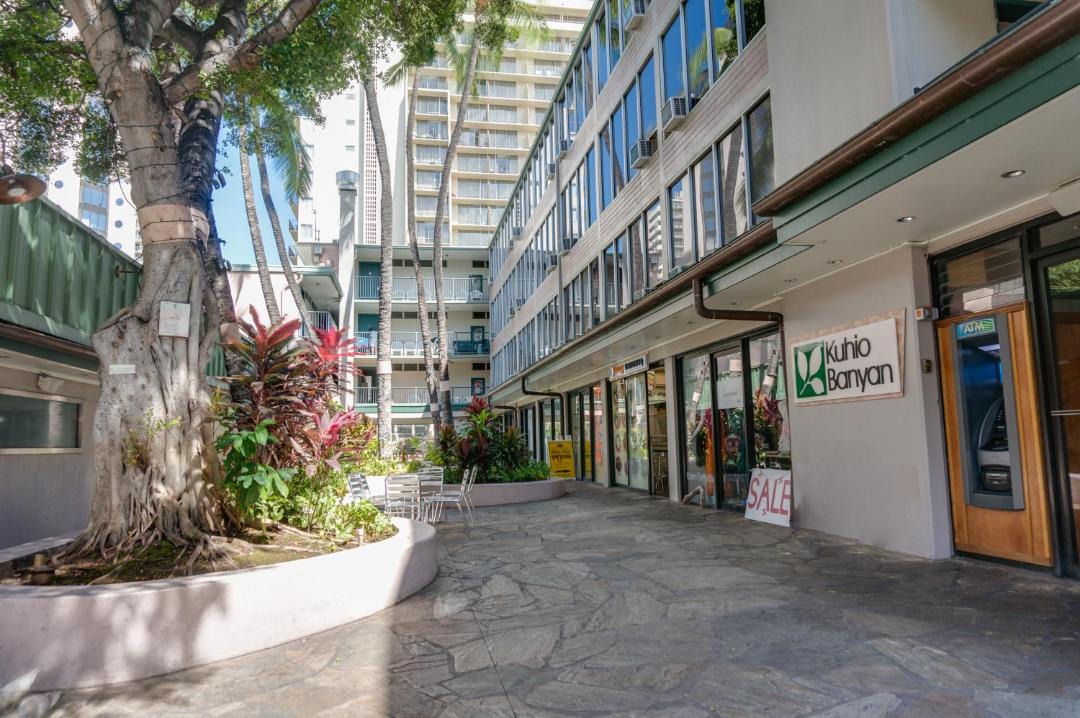 Photo of Others in Waikiki