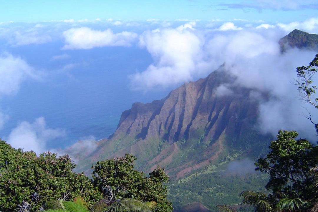 Photo of Others in Princeville