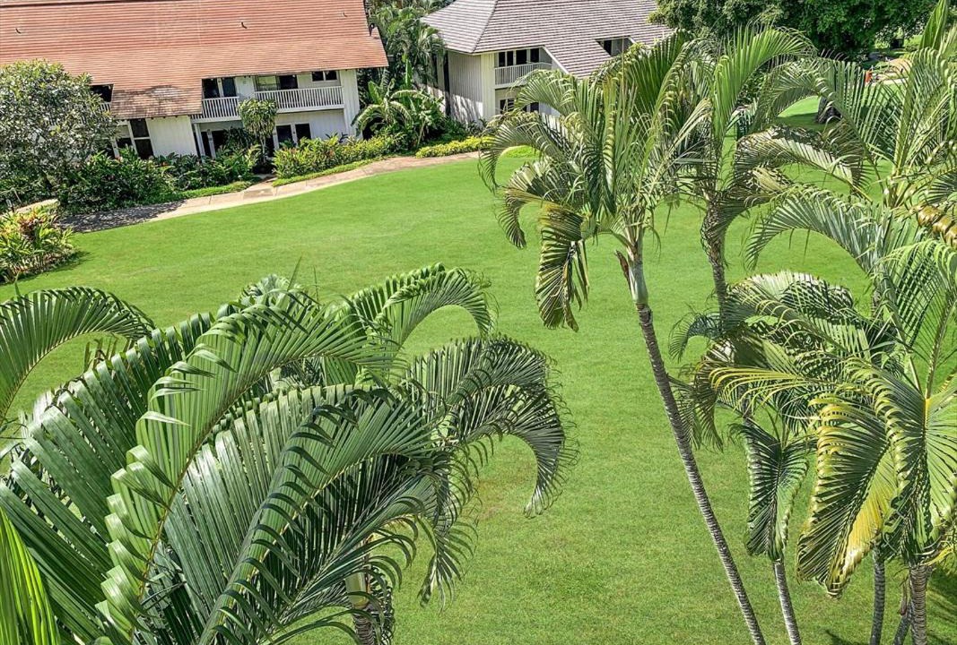 Photo of Others in Poipu