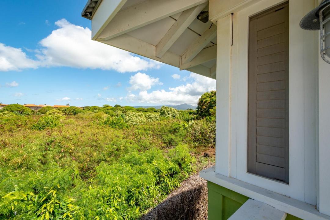 Photo of Others in Poipu