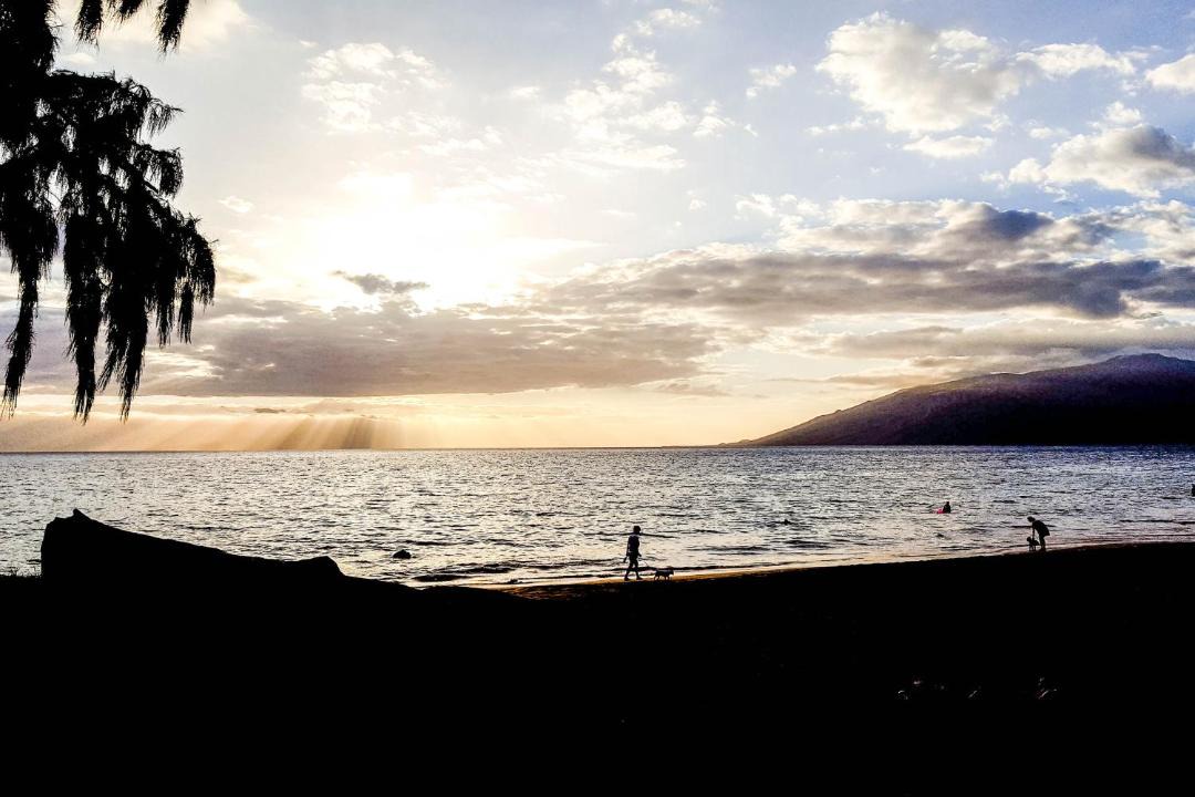 Photo of Others in Kihei