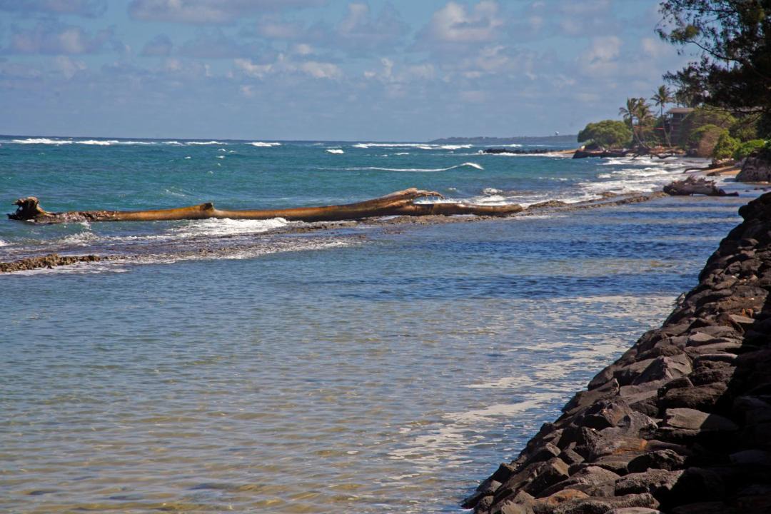 Photo of Others in Kapaa