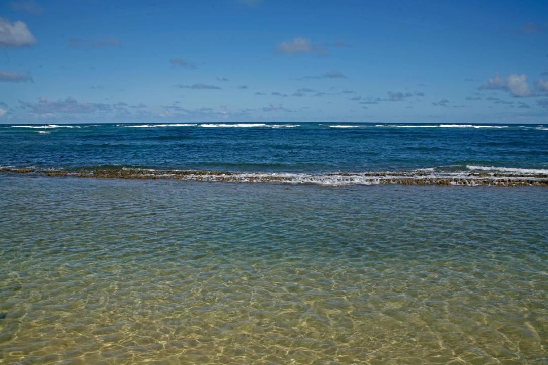 Photo of Others in Kapaa