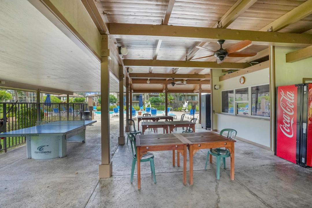 Photo of Others in Kapaa