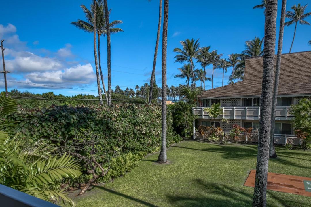 Photo of Others in Wailua