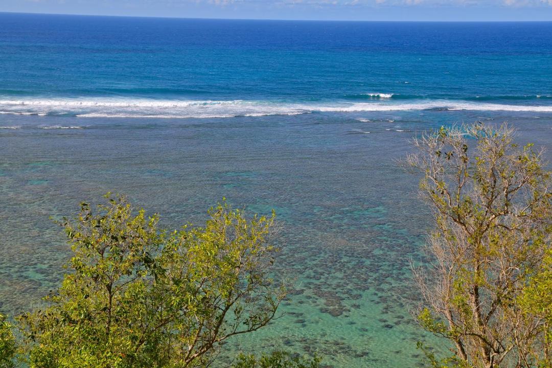 Photo of Others in Princeville