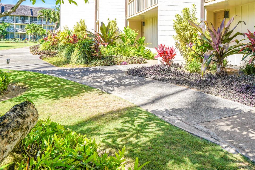 Photo of Others in Wailua