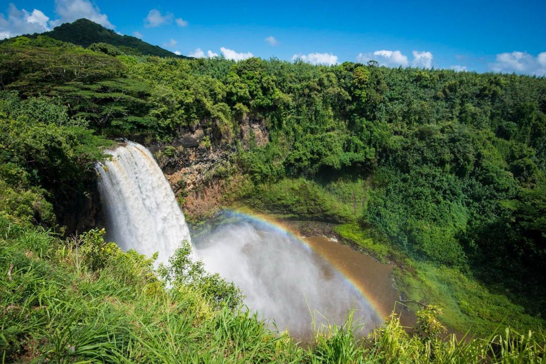 Photo of Others in Wailua