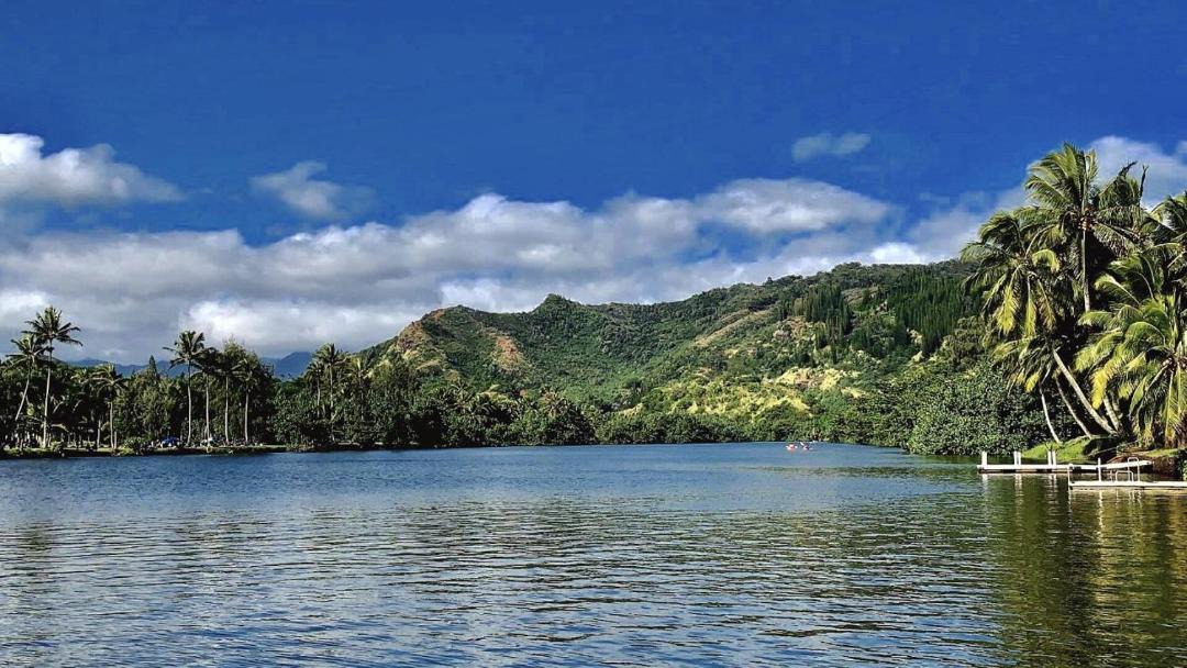 Photo of Others in Wailua
