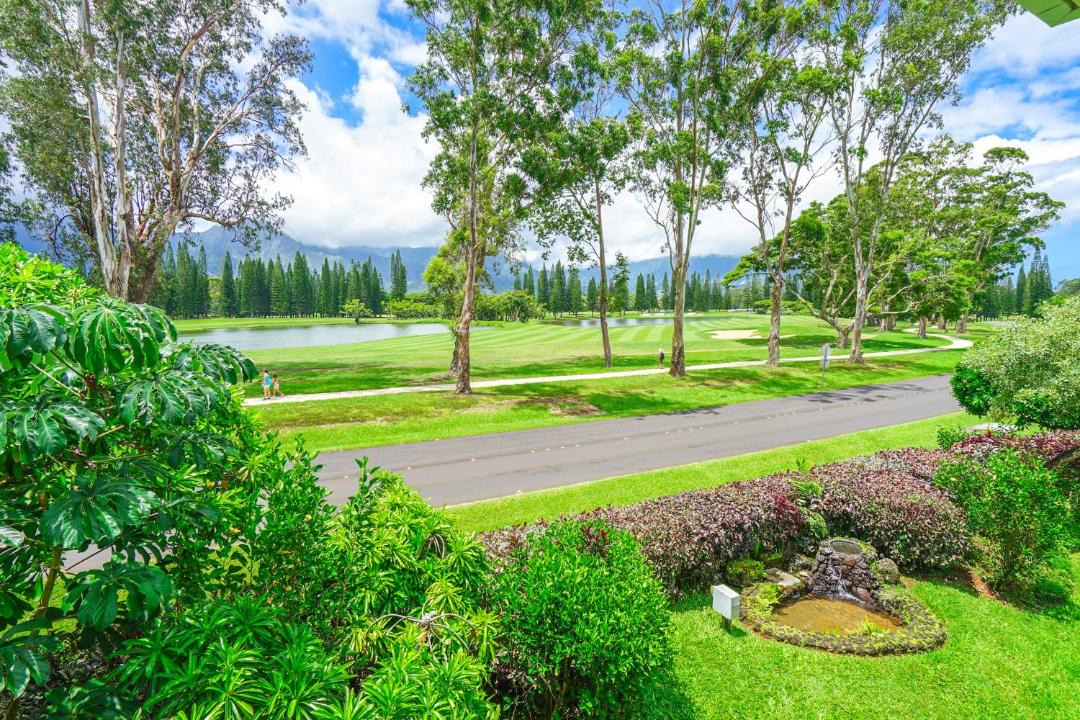 Photo of Others in Princeville