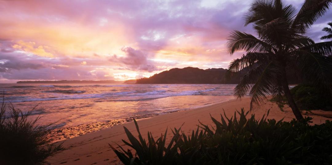 Photo of Others in Wainiha