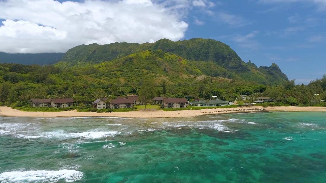 Photo of Others in Wainiha