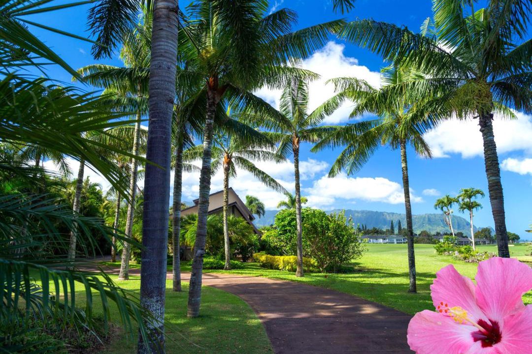Photo of Others in Princeville