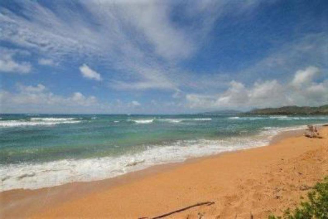 Photo of Others in Wailua