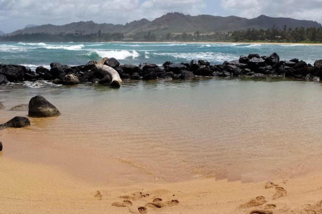 Photo of Others in Wailua