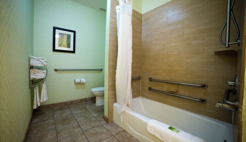 Suite, 1 King Bed with Sofa bed, Accessible (Communications)