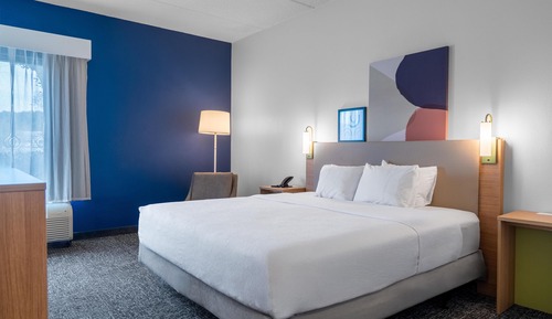 Room, 1 King Bed, Accessible (Mobility & Hearing, Roll-in Shower)